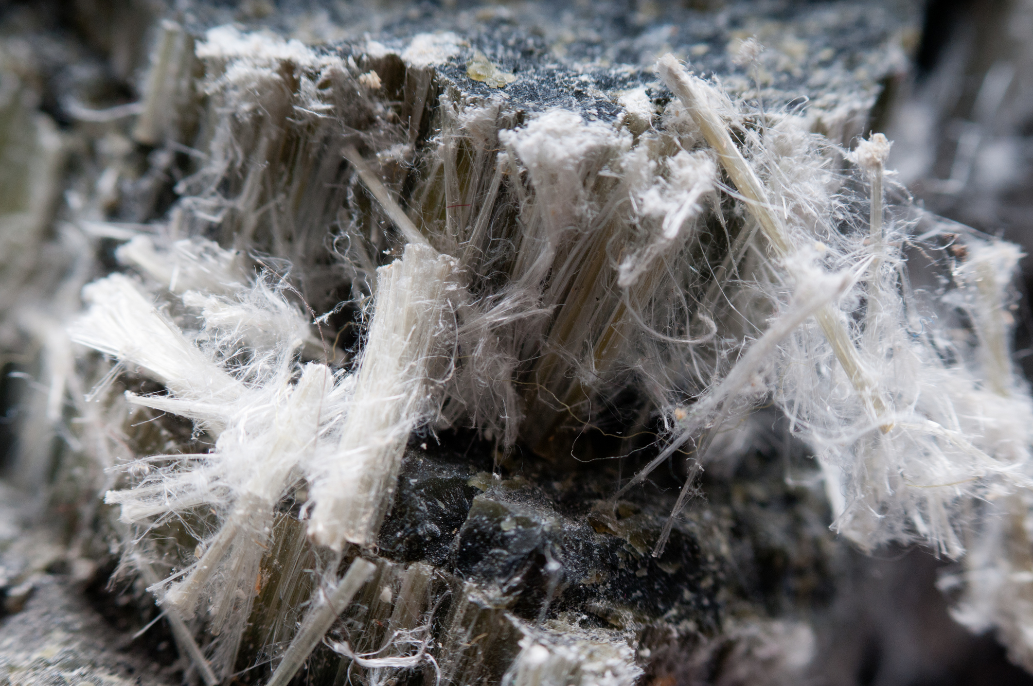 Naturally occurring asbestos fibers.